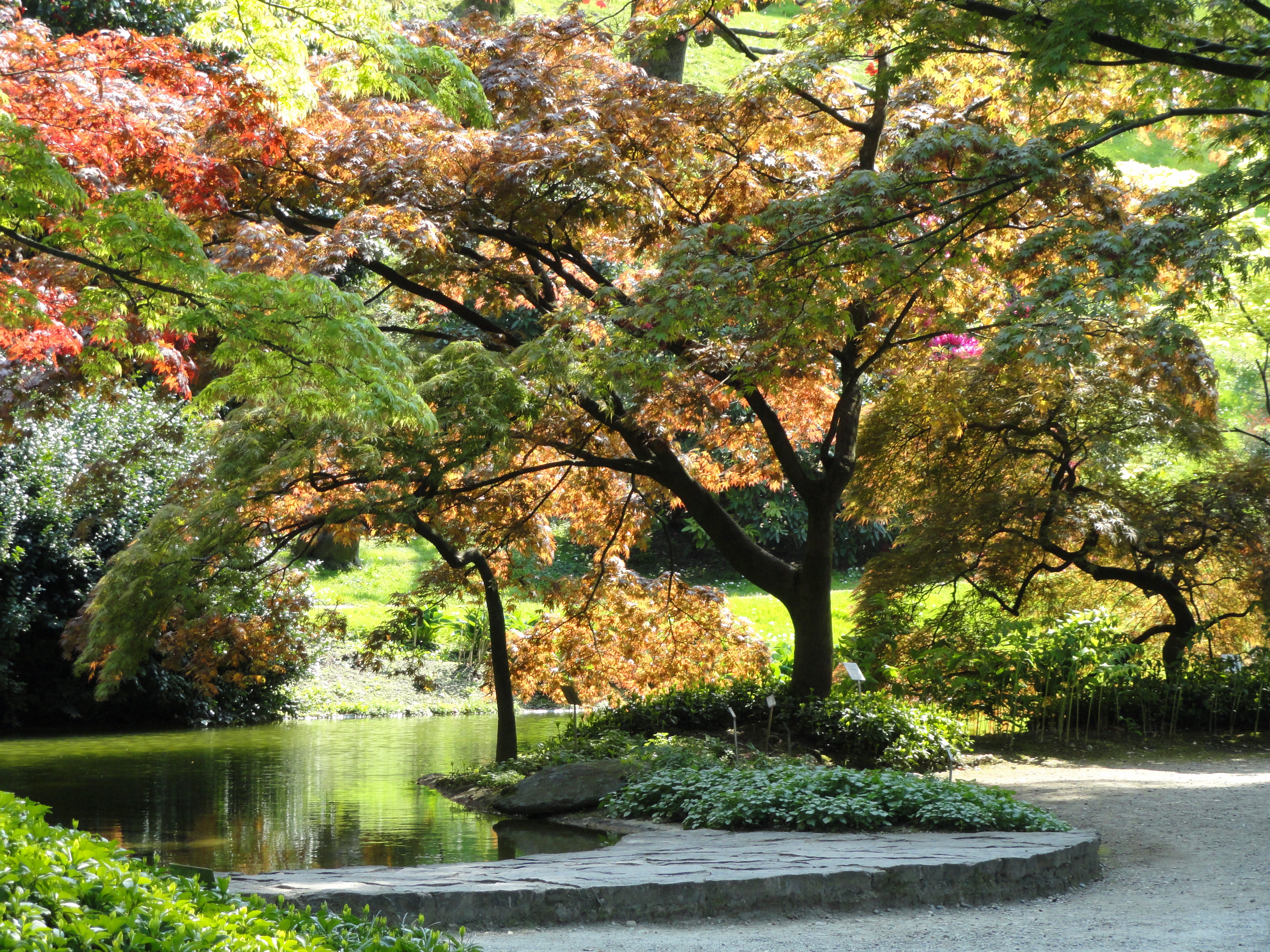 I Giardini Di Villa Melzi, Lake Como