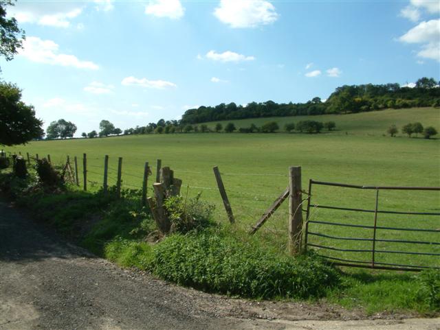 File:Warren Hill - geograph.org.uk - 51760.jpg