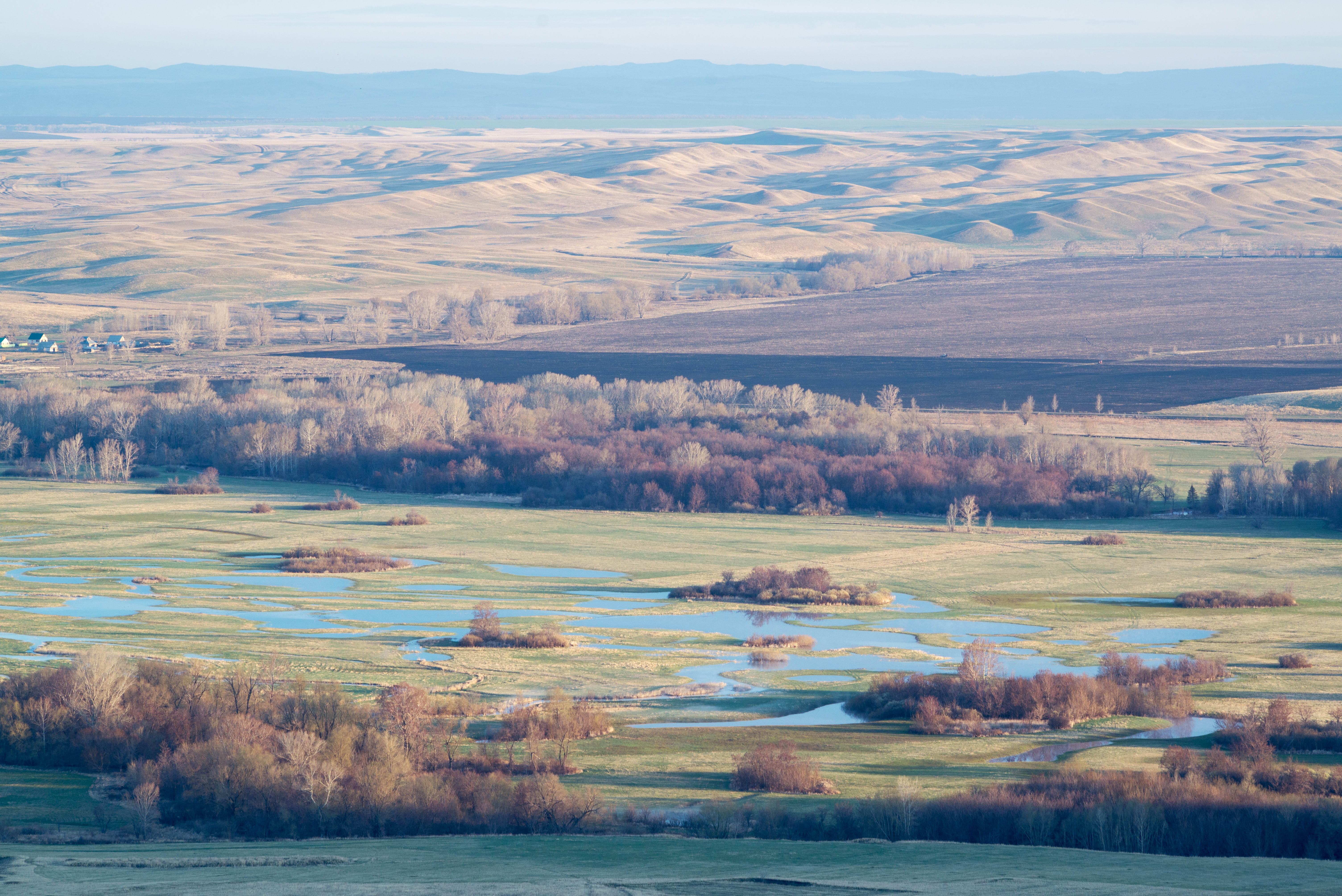 Село желтое. Село желтое Саракташский район Оренбургская область. Оренбург Саракташский район. Саракташский район степь. Каменное озеро Саракташский район.