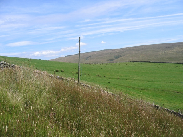 A view from the Ribble Way - geograph.org.uk - 644261