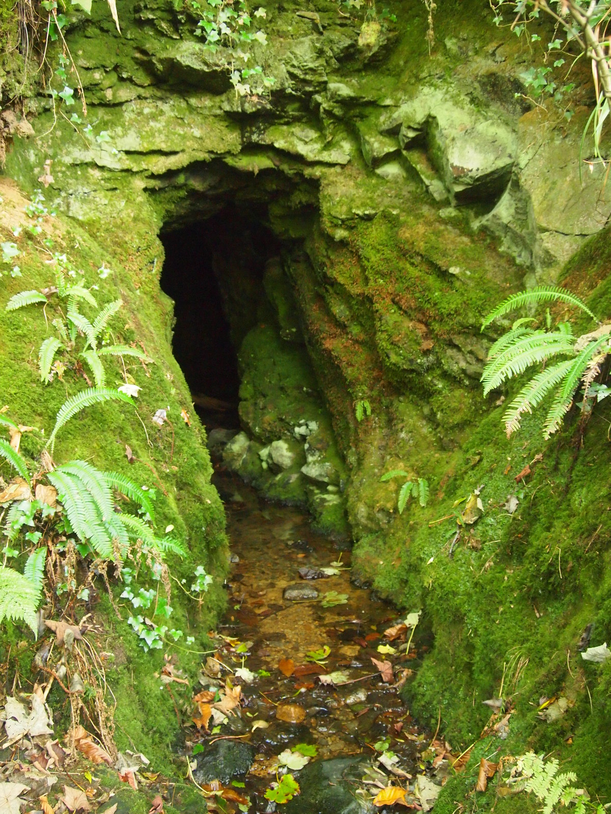 Devon United Mine