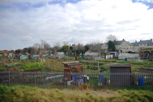 File:Allotment by the railway, Royston - geograph.org.uk - 4166768.jpg