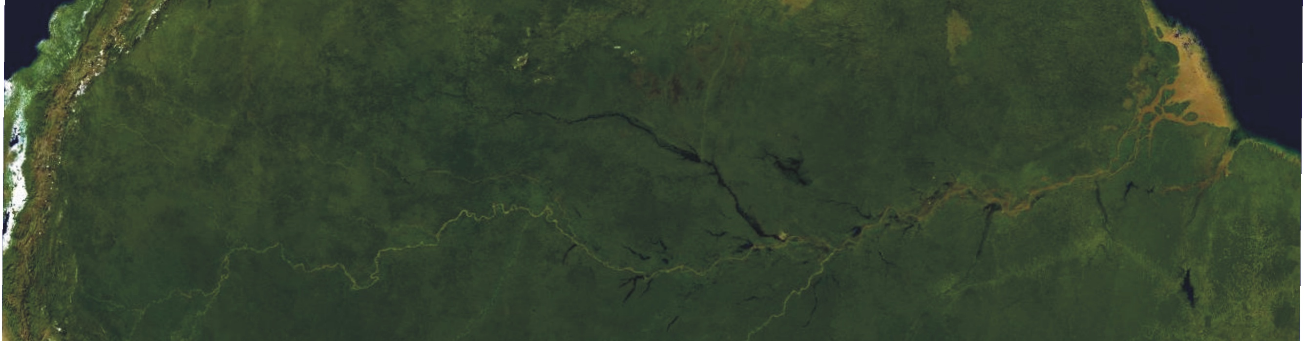 Überblick über den Hauptstrom des Amazonas, vom Satelliten aus gesehen