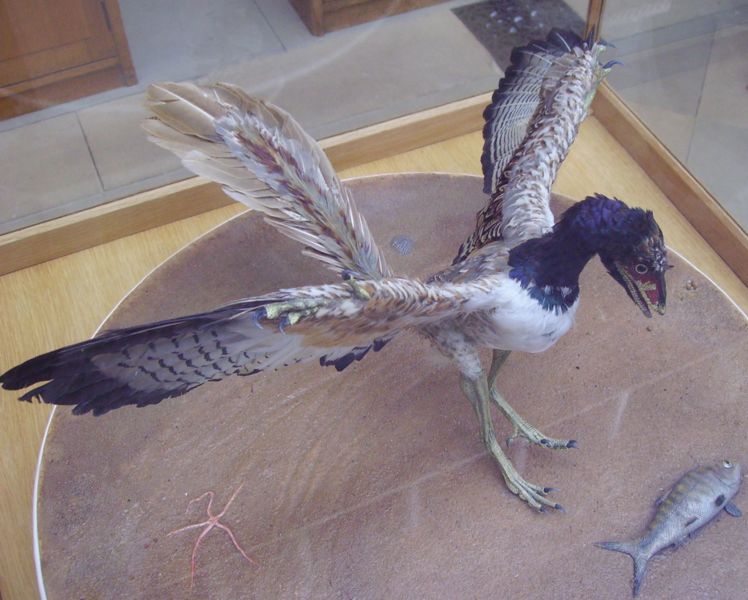 Ballista. Modell eines Archaeopteryx