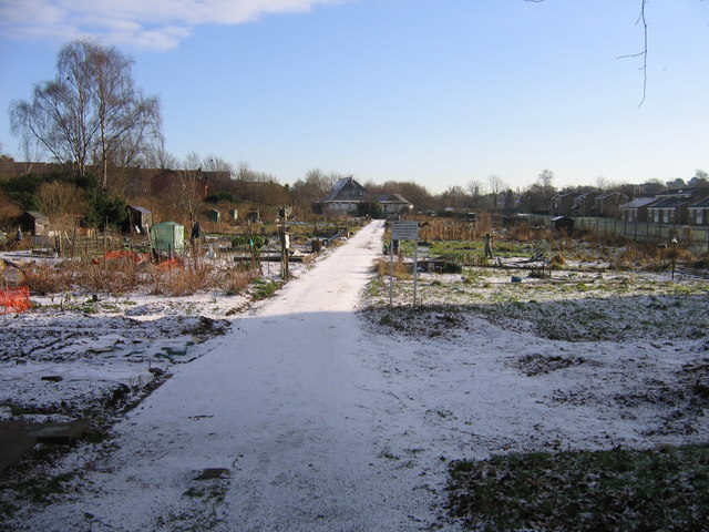 File:Bleak Hill Allotments - Living up to their name ^ - geograph.org.uk - 1109365.jpg