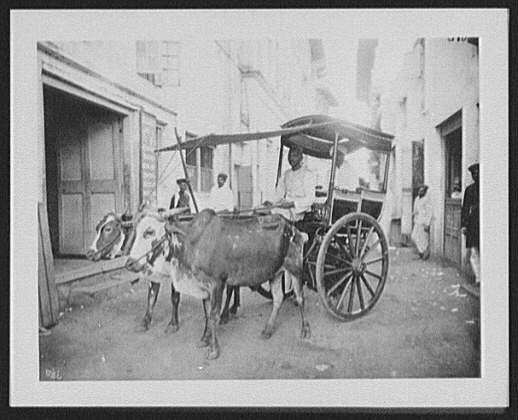 File:Bombay - bullock (jut) cart on narrow street LCCN2004707351.jpg