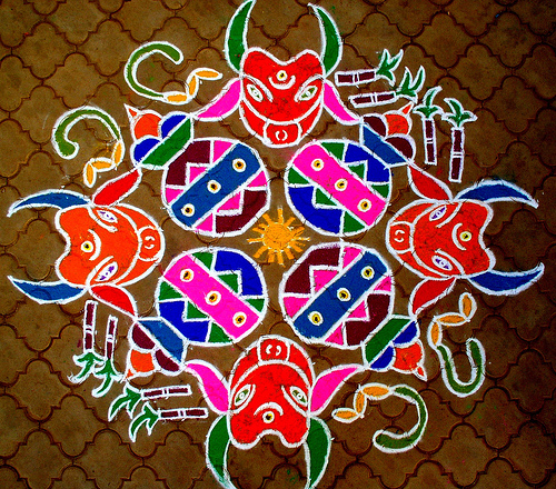 File:COW PONGAL FESTIVAL KOLAM.jpg