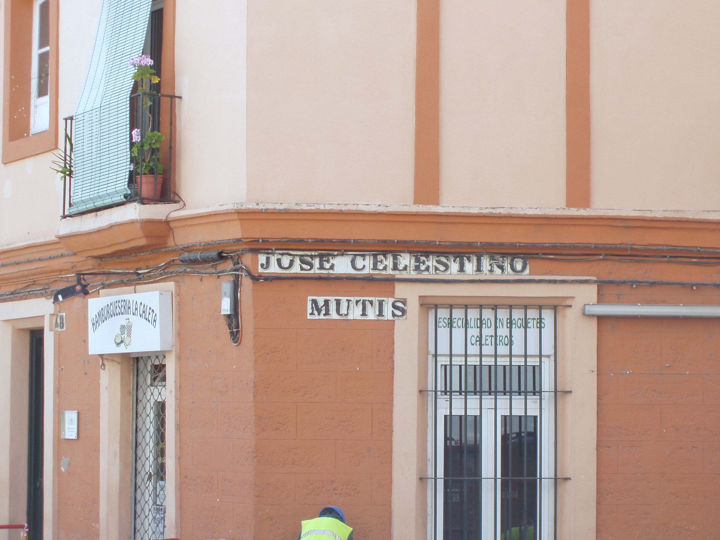 Rúa dedicada a José Celestino Mutis en [[Cádiz