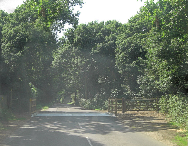 File:Cattle grid on Burley Road - geograph.org.uk - 3635294.jpg