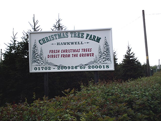 File Christmas Tree Farm geograph 164887.jpg