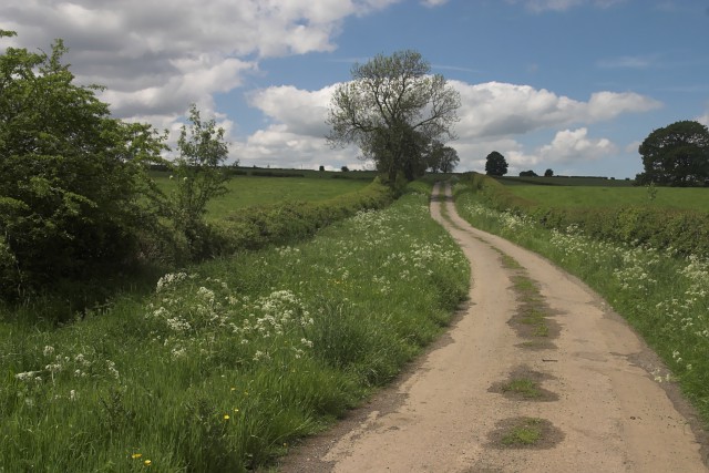 File:Christygate road - geograph.org.uk - 831361.jpg