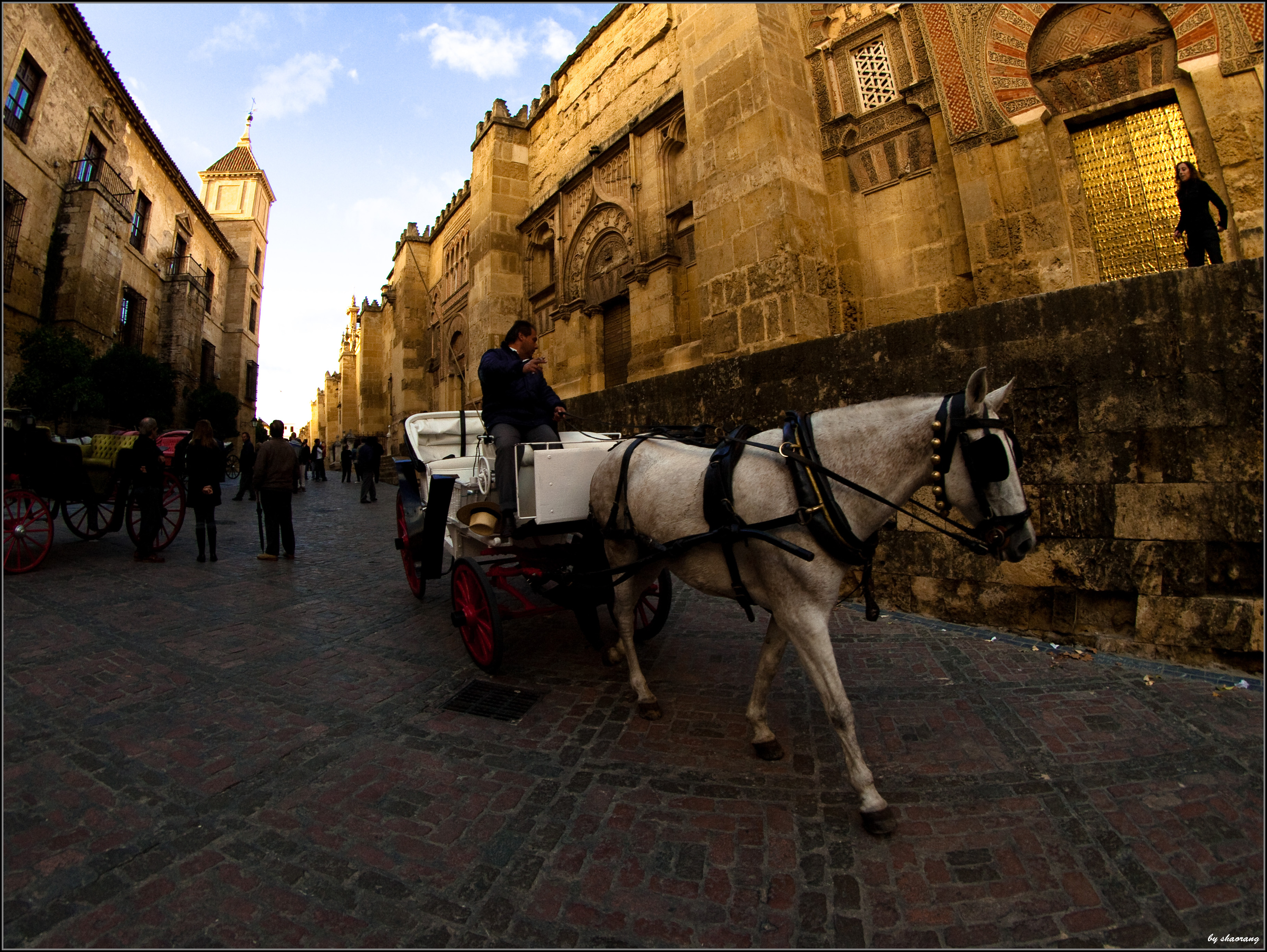 File Coche De Caballos En Cordoba Jpg Wikimedia Commons