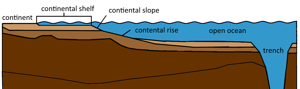 continental margin