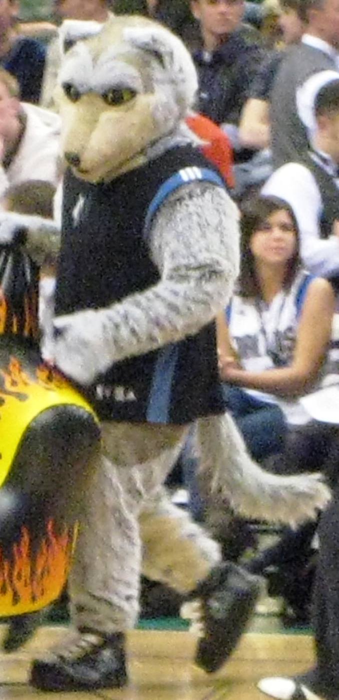 Crunch_the_Wolf_at_Target_Center.jpg