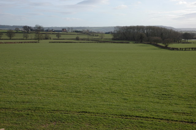 File:Farmland to the south of Cholstrey - geograph.org.uk - 364412.jpg