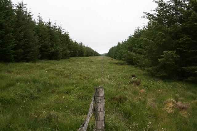 File:Firebreak in Killypole Forest. - geograph.org.uk - 474667.jpg