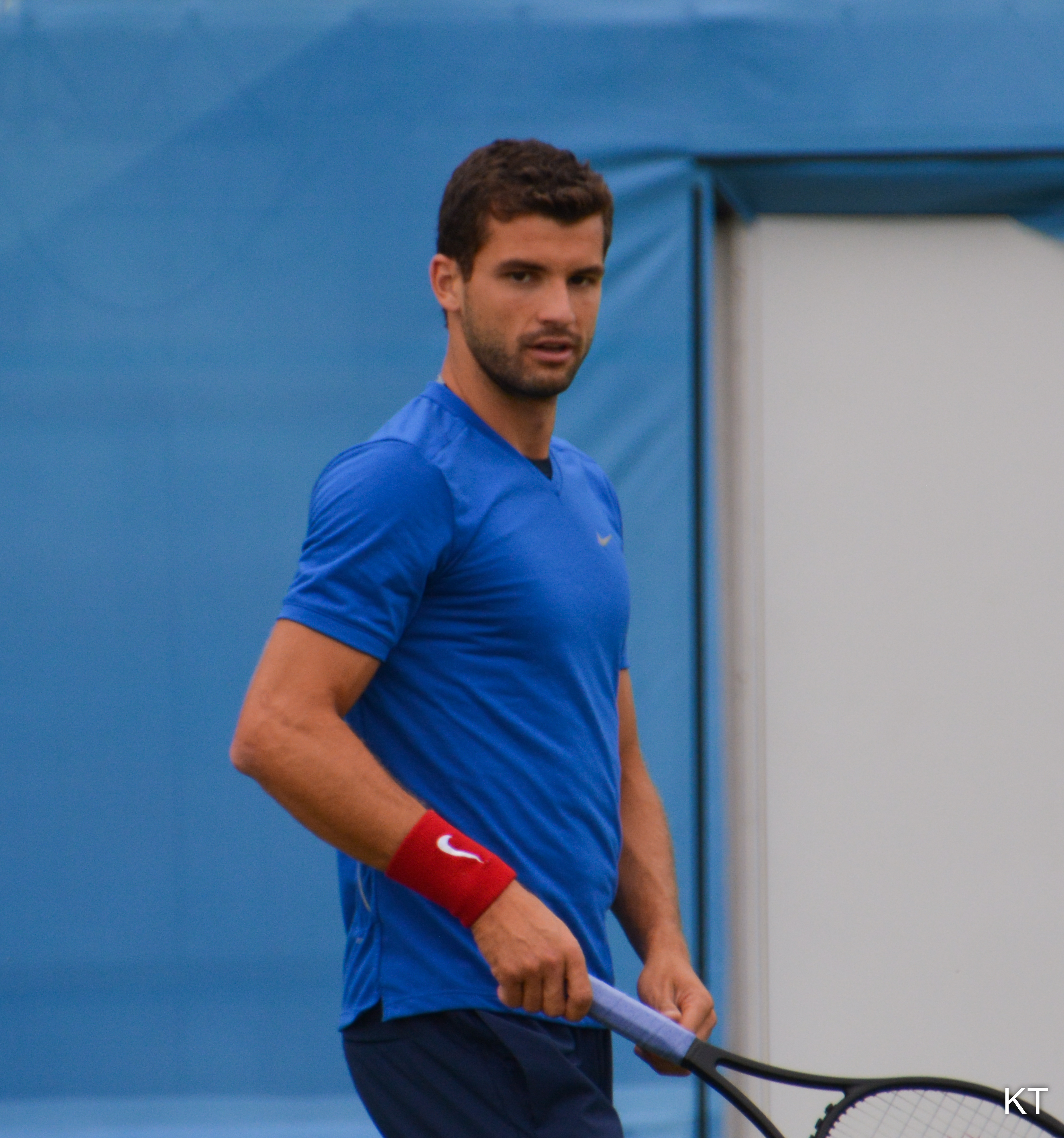 Grigor Dimitrov - Wikipedia