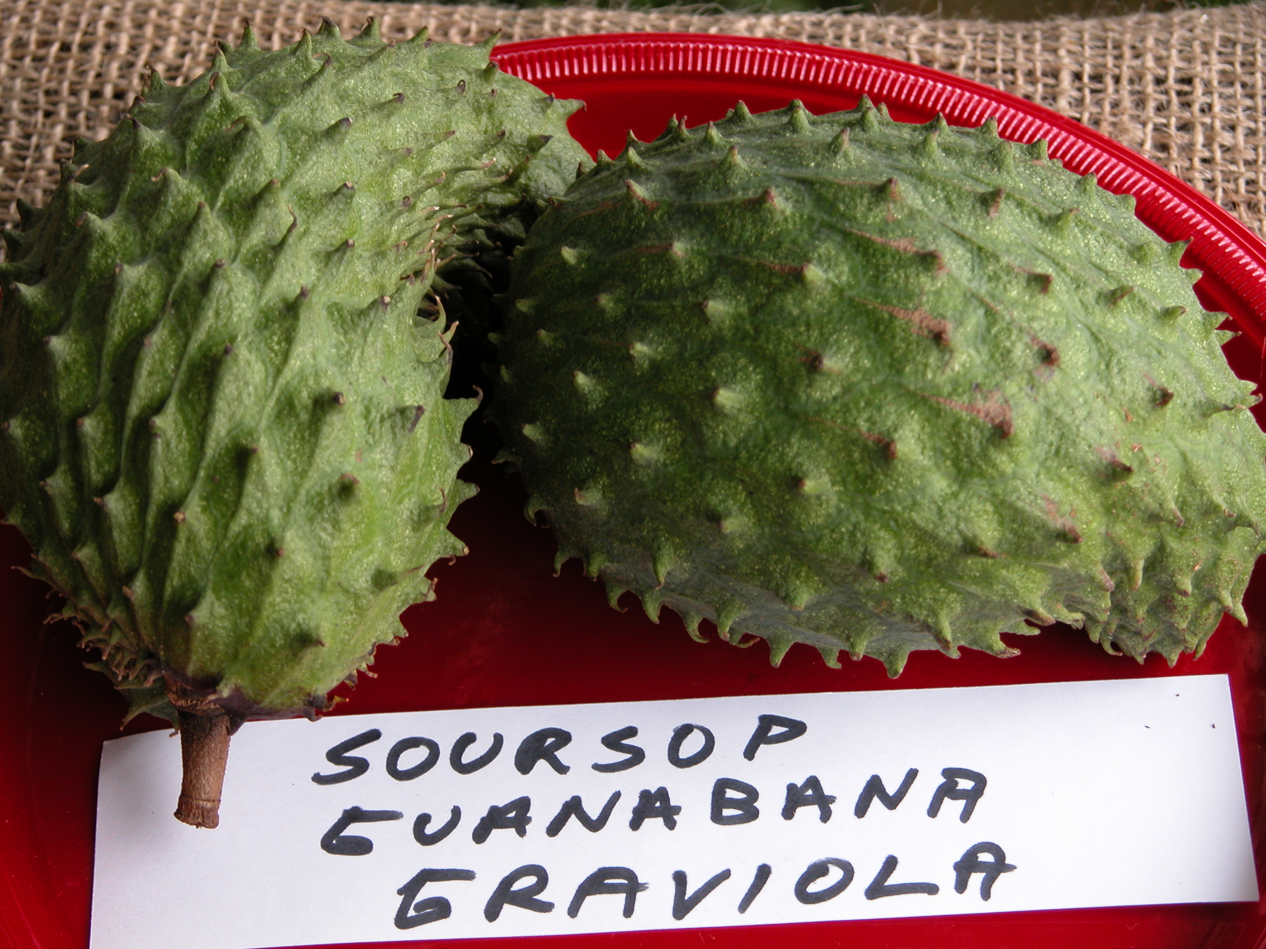 Soursop Fruit 100 Times Stronger At Killing Cancer Than Chemotherapy2560 x 1920