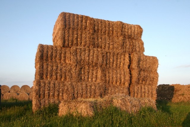 File:Haystack - geograph.org.uk - 462934.jpg