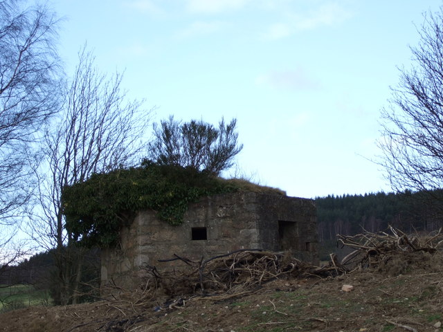 File:Hexagonal building (ruin) near Heugh-head - geograph.org.uk - 364499.jpg