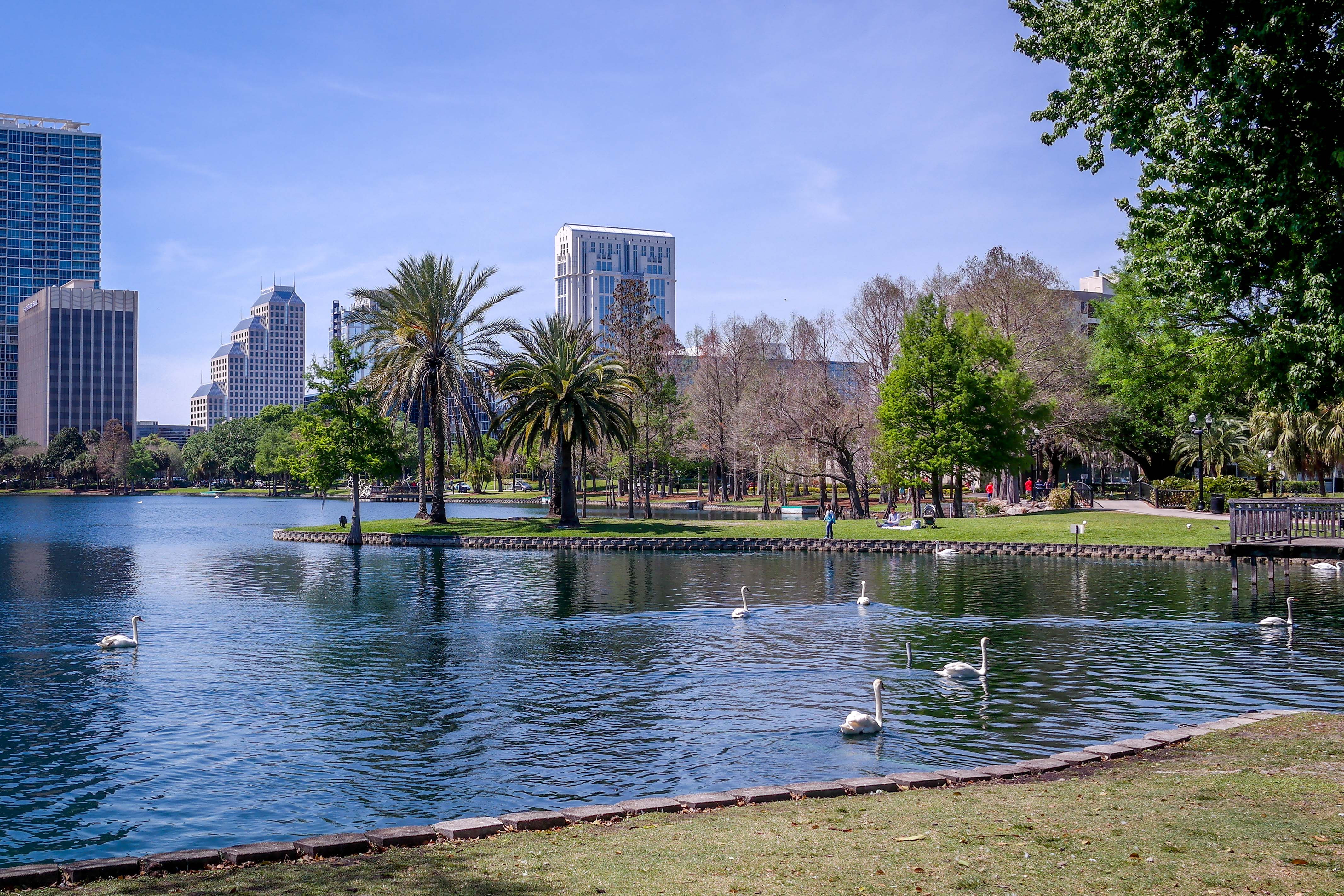 Lake Eola Park Lake_Eola_Park-4