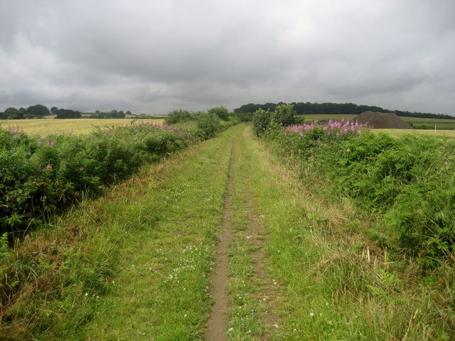 File:Leeds Country Way near Biggin Farm - geograph.org.uk - 1403565.jpg