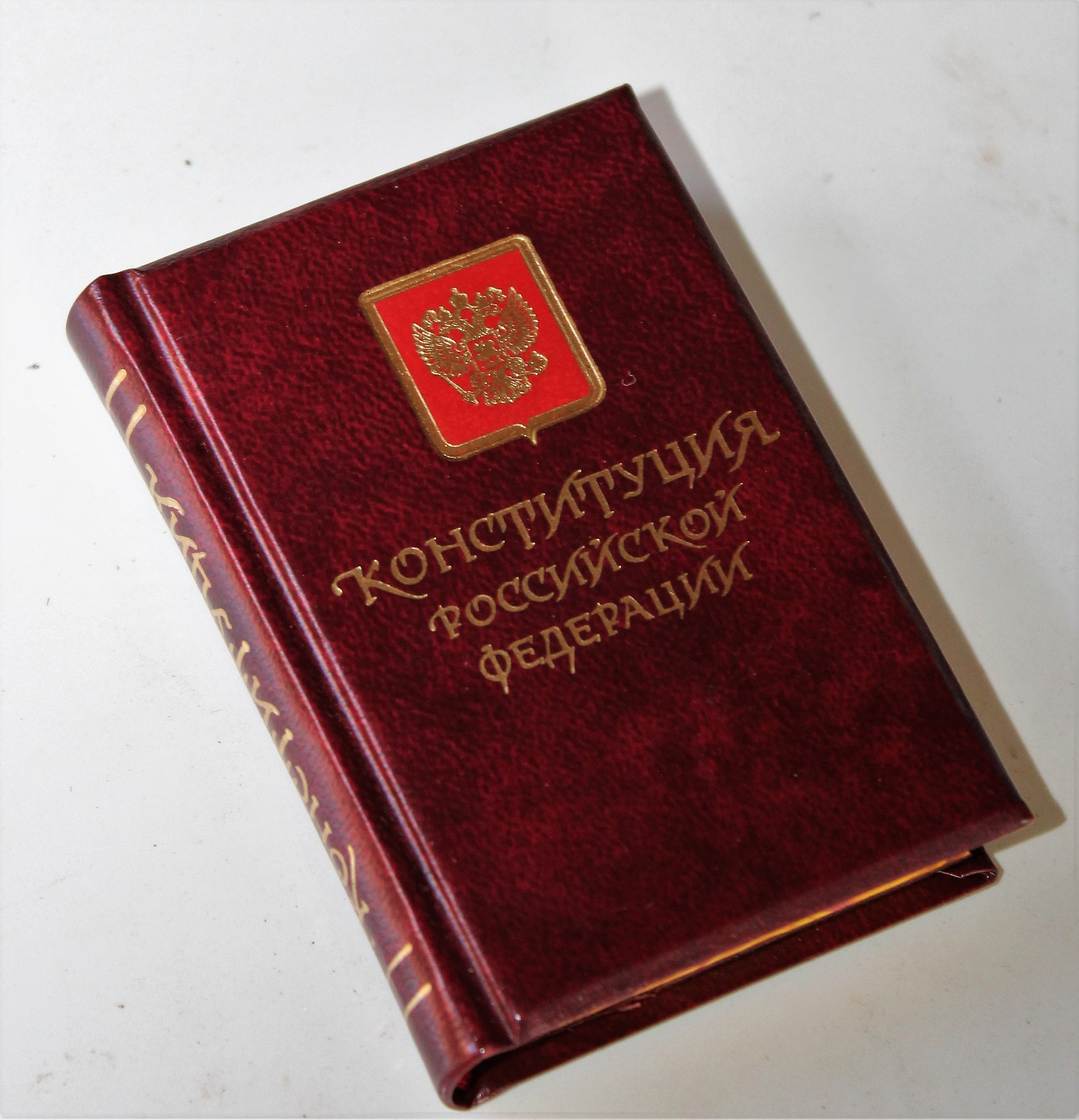 MINI BOOK (Constitution of Russia).JPG