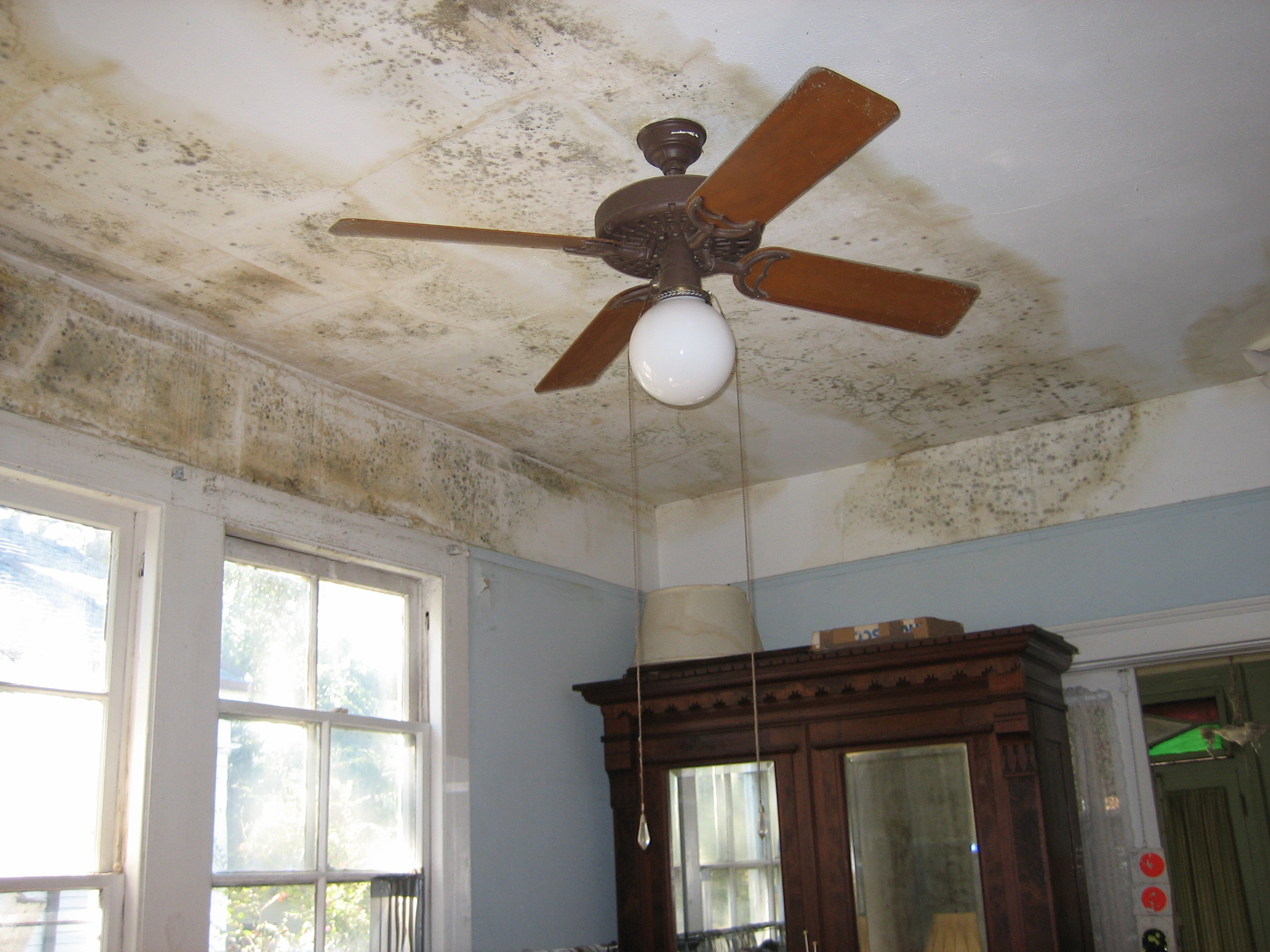 How Much Does Damp Devalue a House?