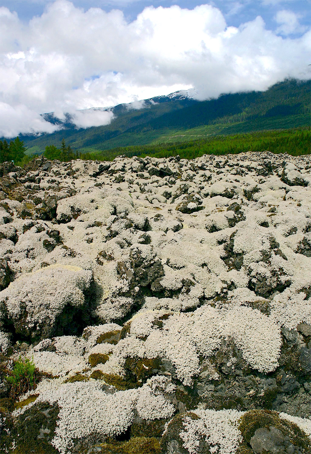 Nisga'a Memorial Lava Bed Provincial Park