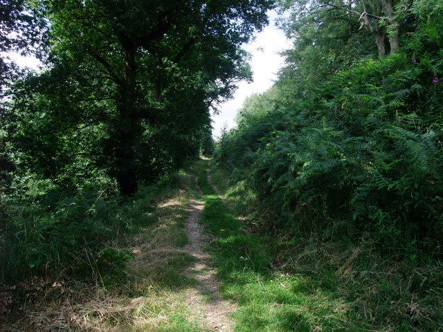 Offa's Dyke Path on Craig Forda - geograph.org.uk - 903823