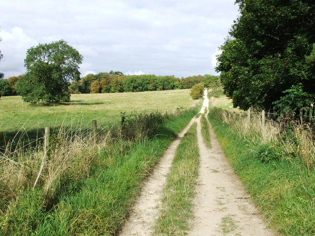 File:Old Road from Ullenwood to Hartley - geograph.org.uk - 1514189.jpg