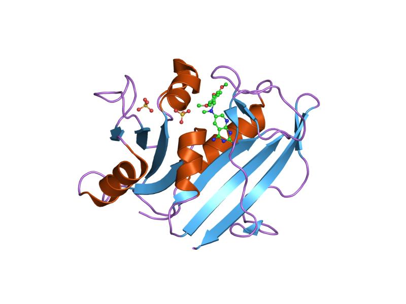 File:PDB 1mvs EBI.jpg