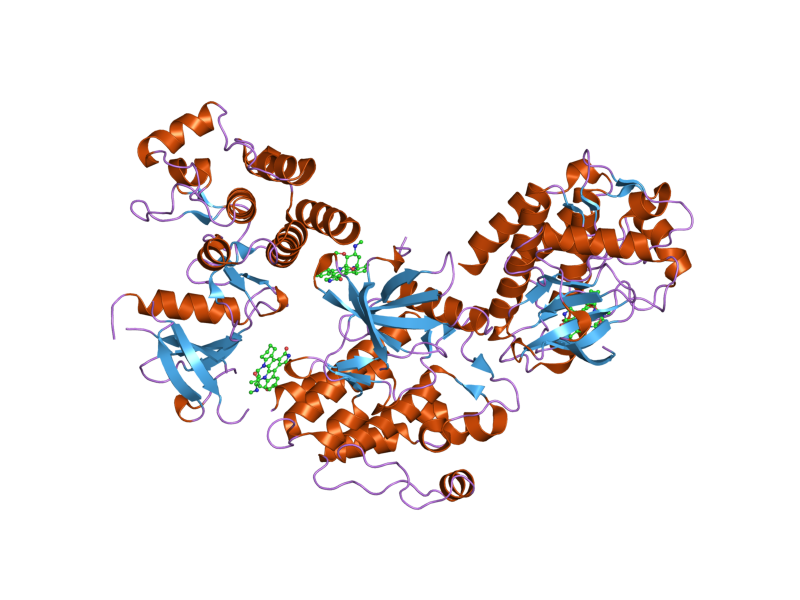 File:PDB 2hz4 EBI.png