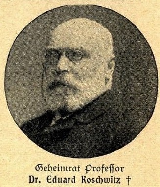 File:Professor Eduard Koschwitz gestorben (1904).jpg