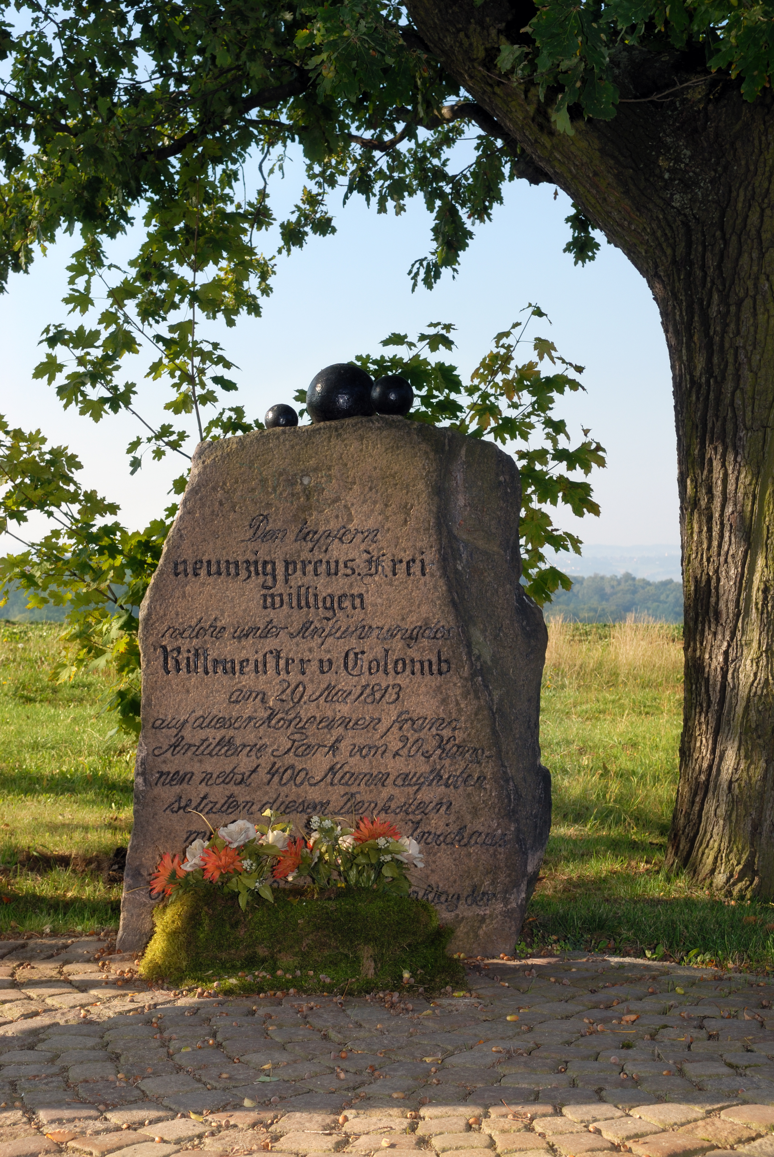 This image shows the Colomb stone (Colombstein) in Reinsdorf, Germany.