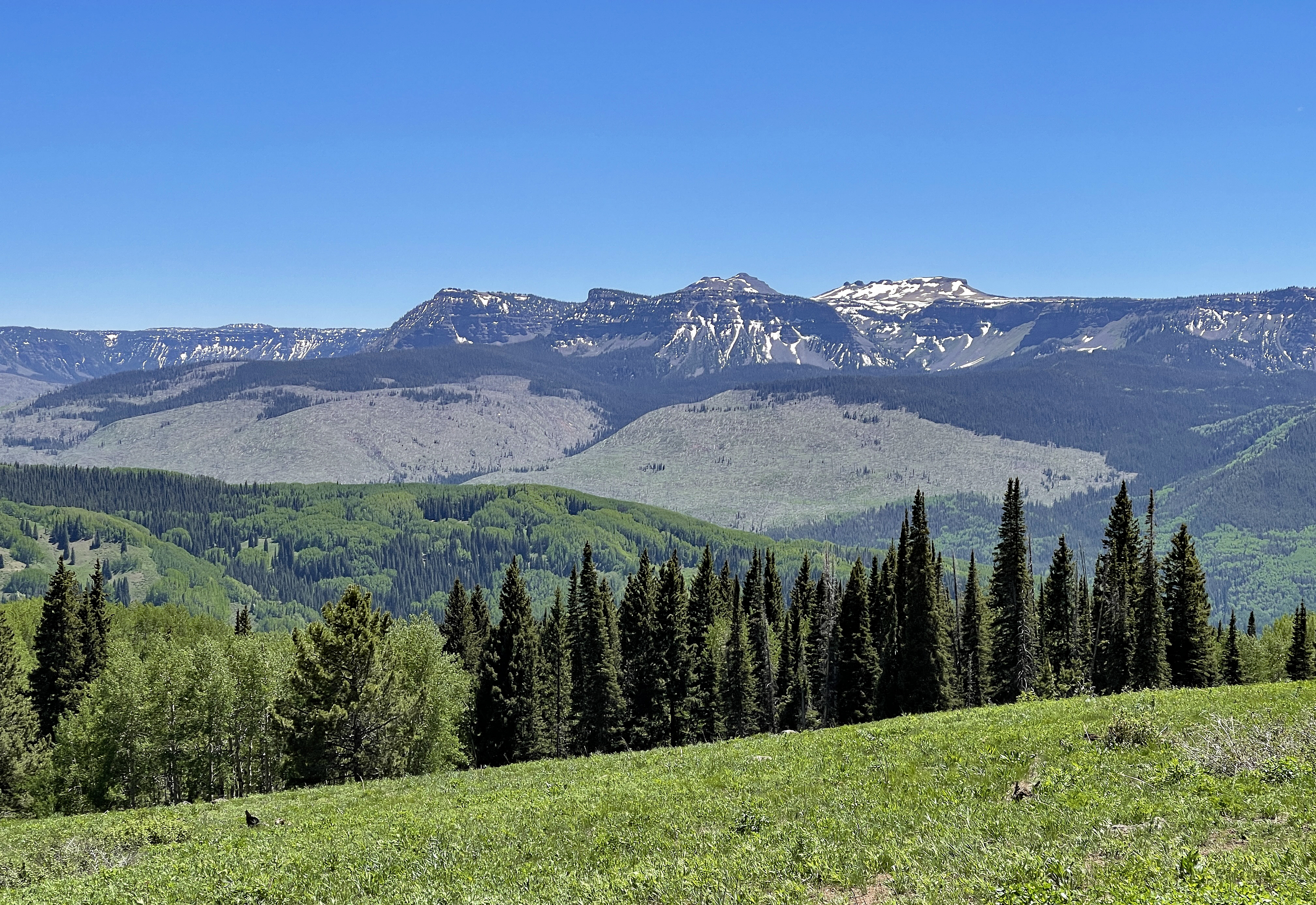 Flat Tops Wilderness Area - Wikipedia