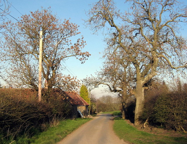 File:Road through Molesden - geograph.org.uk - 403197.jpg