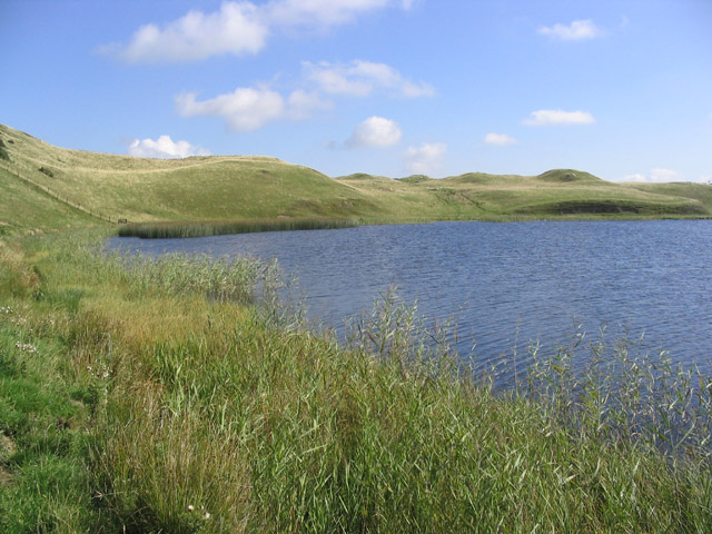 File:Shielswood Loch - geograph.org.uk - 235761.jpg