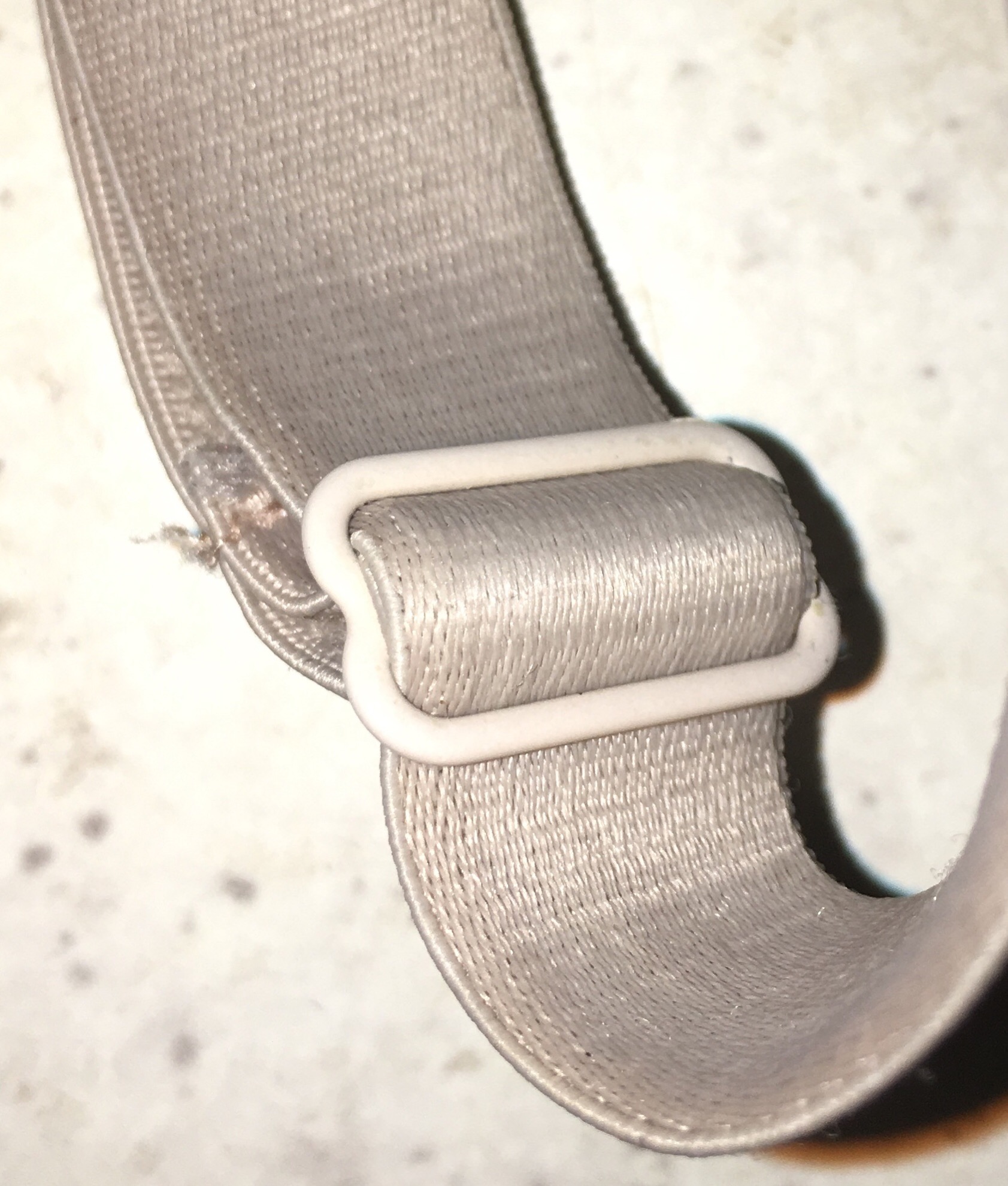 File:Small bra strap with metal tri-glide slide.jpg - Wikimedia Commons