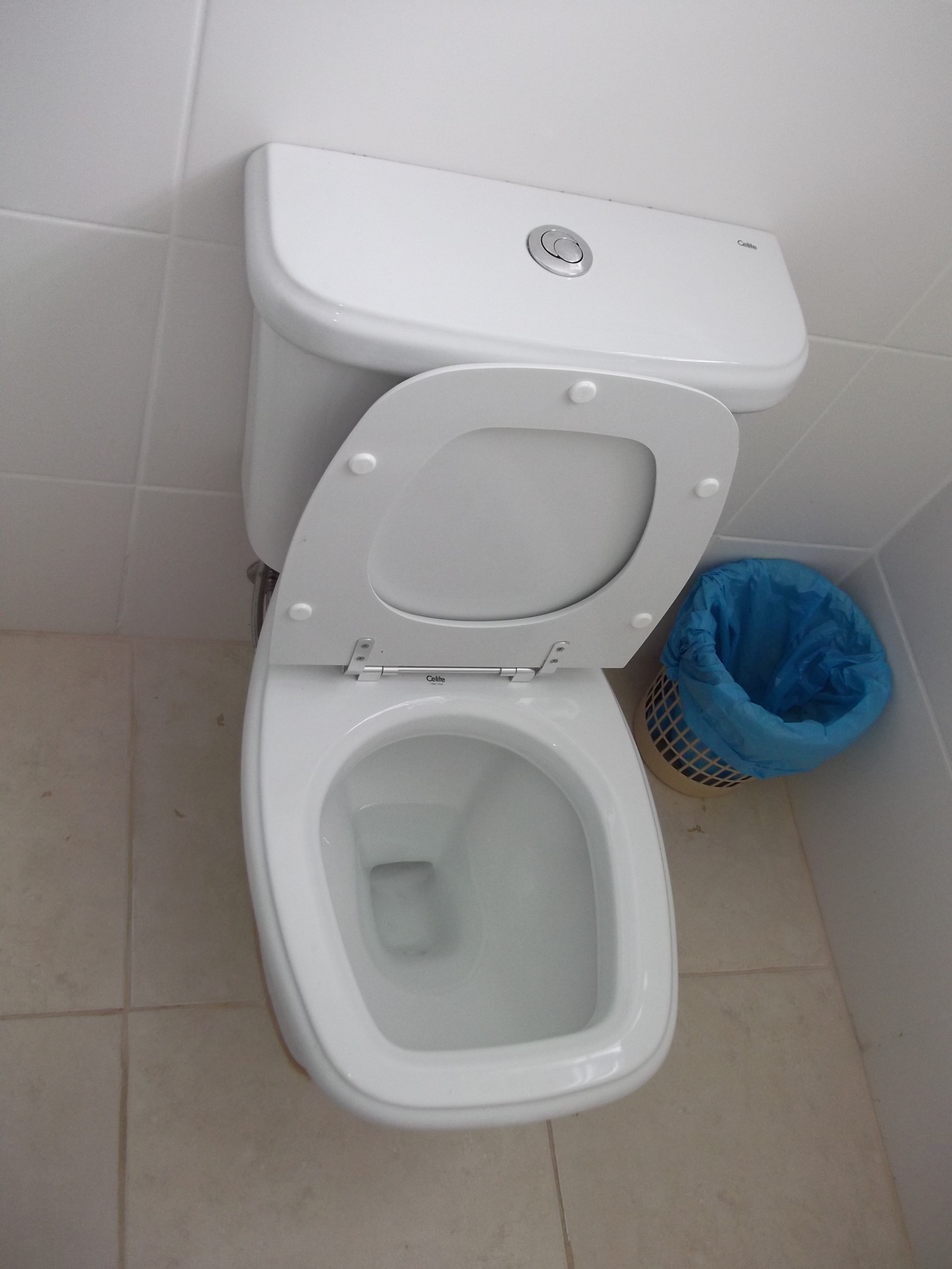 Toilet double flush 01