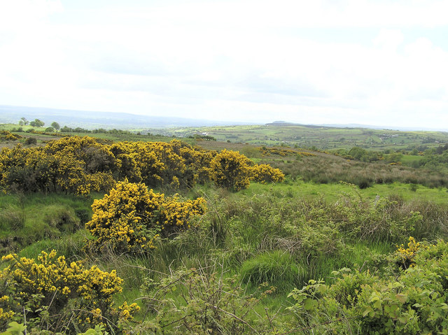 File:Tullyglush Townland - geograph.org.uk - 177930.jpg