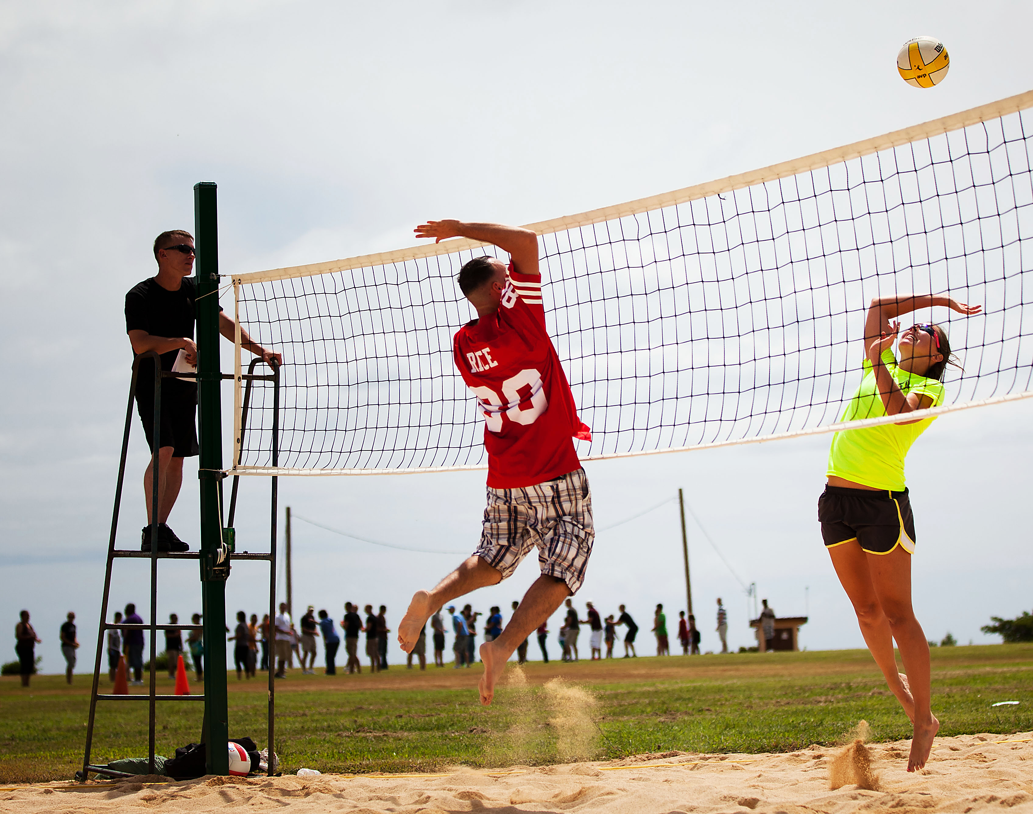 Red de voleibol medidas oficiales