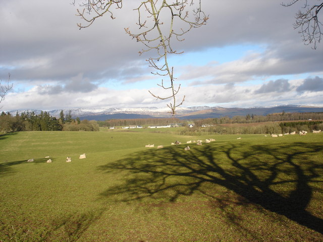 File:View north across fields ,Crofthead near Muthill - geograph.org.uk - 337851.jpg