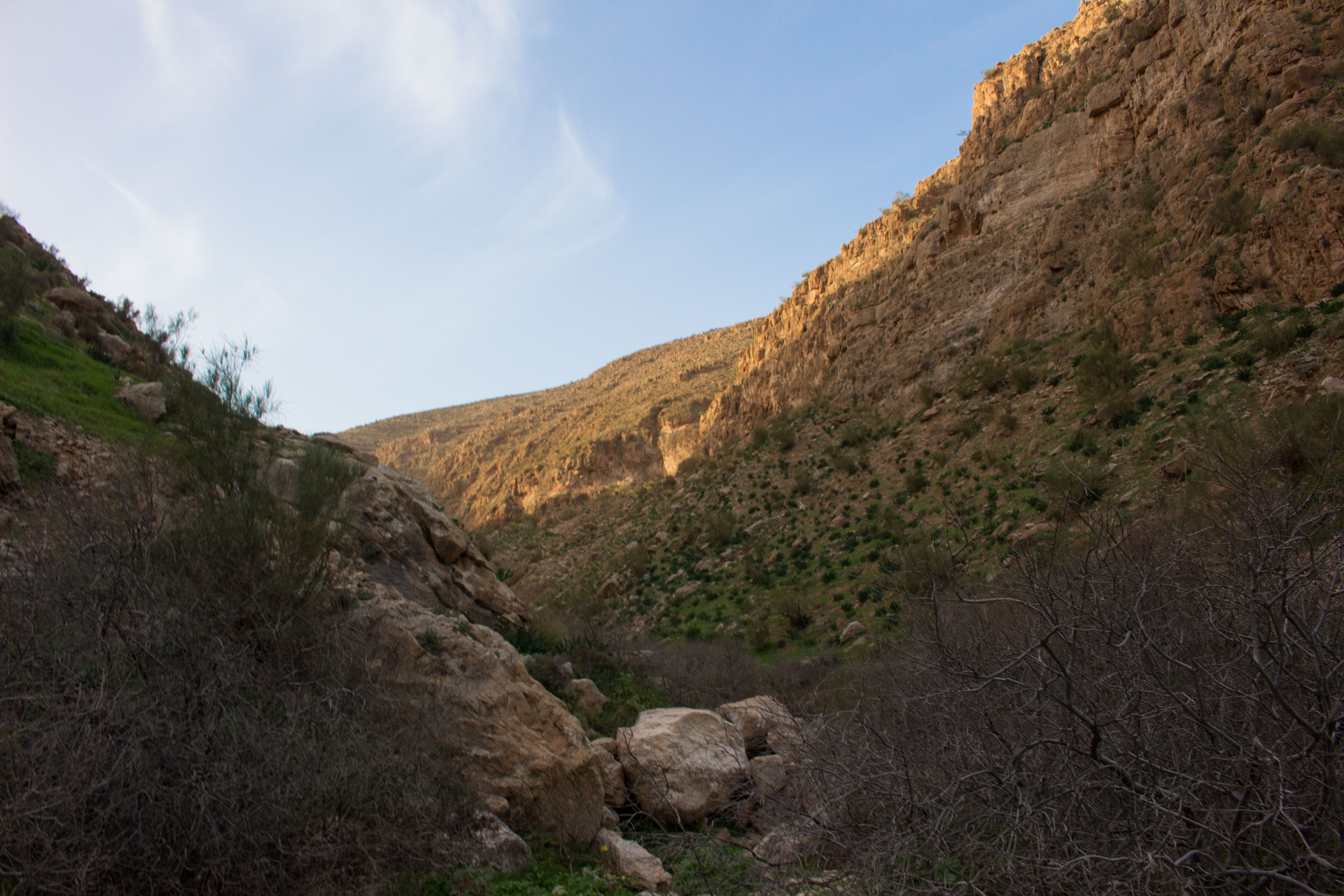 Wadi Auja