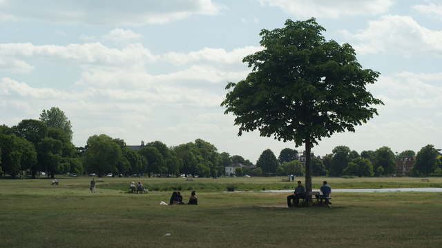 Wimbledon Common - geograph.org.uk - 1339745