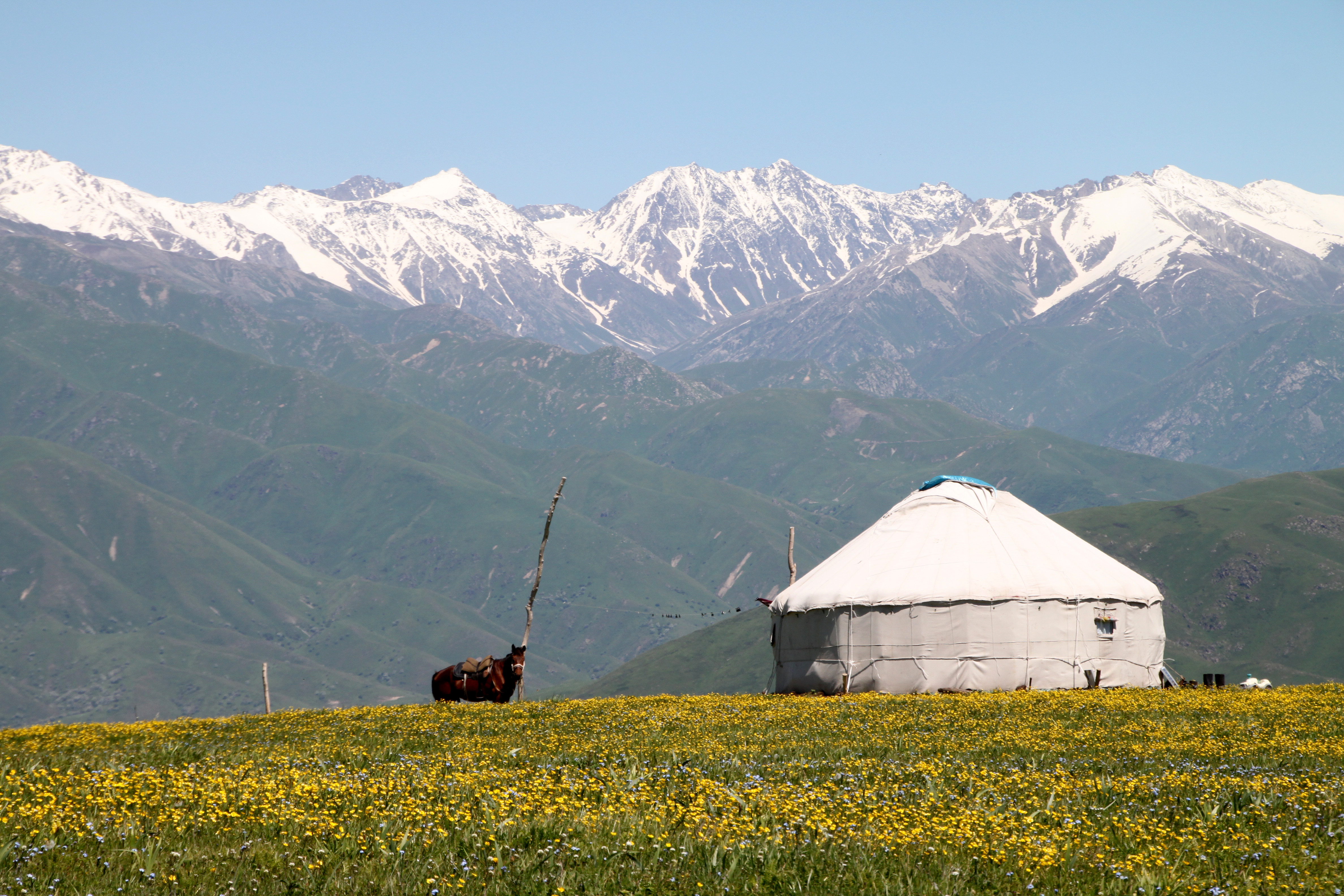 Аул казахстан фото