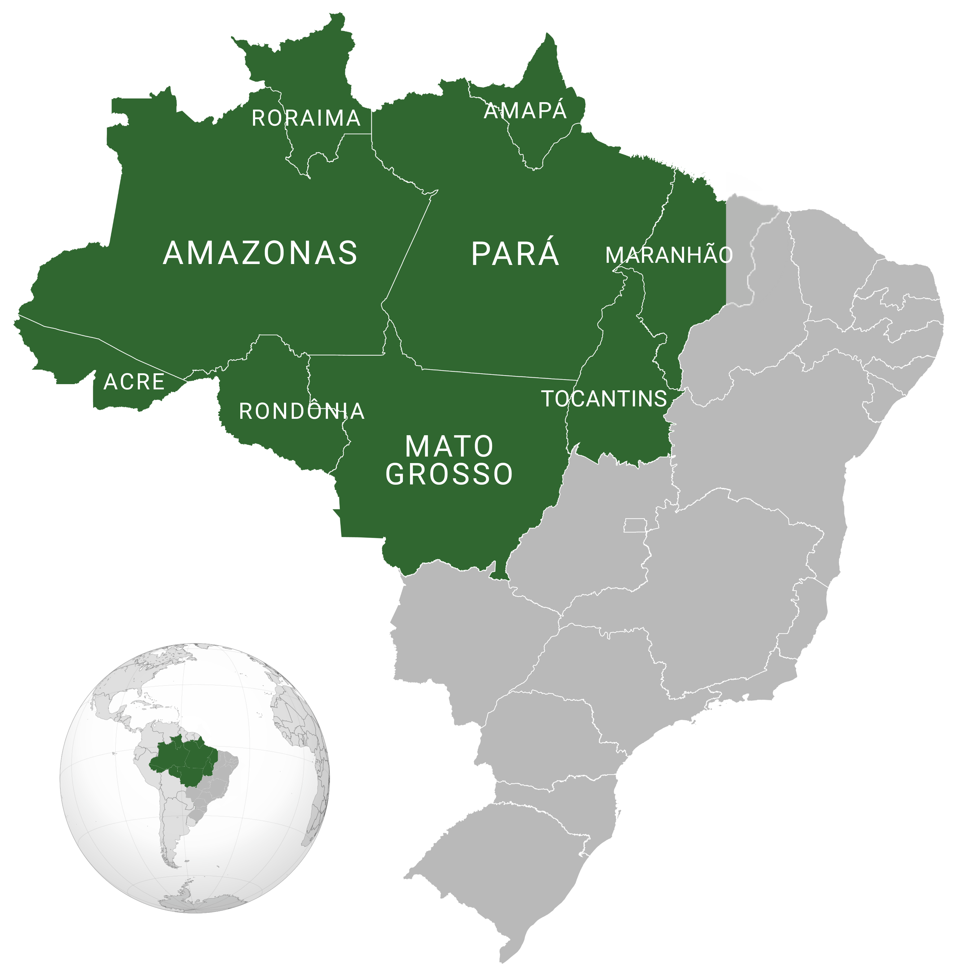 Map of Brazil and Rondonia state.