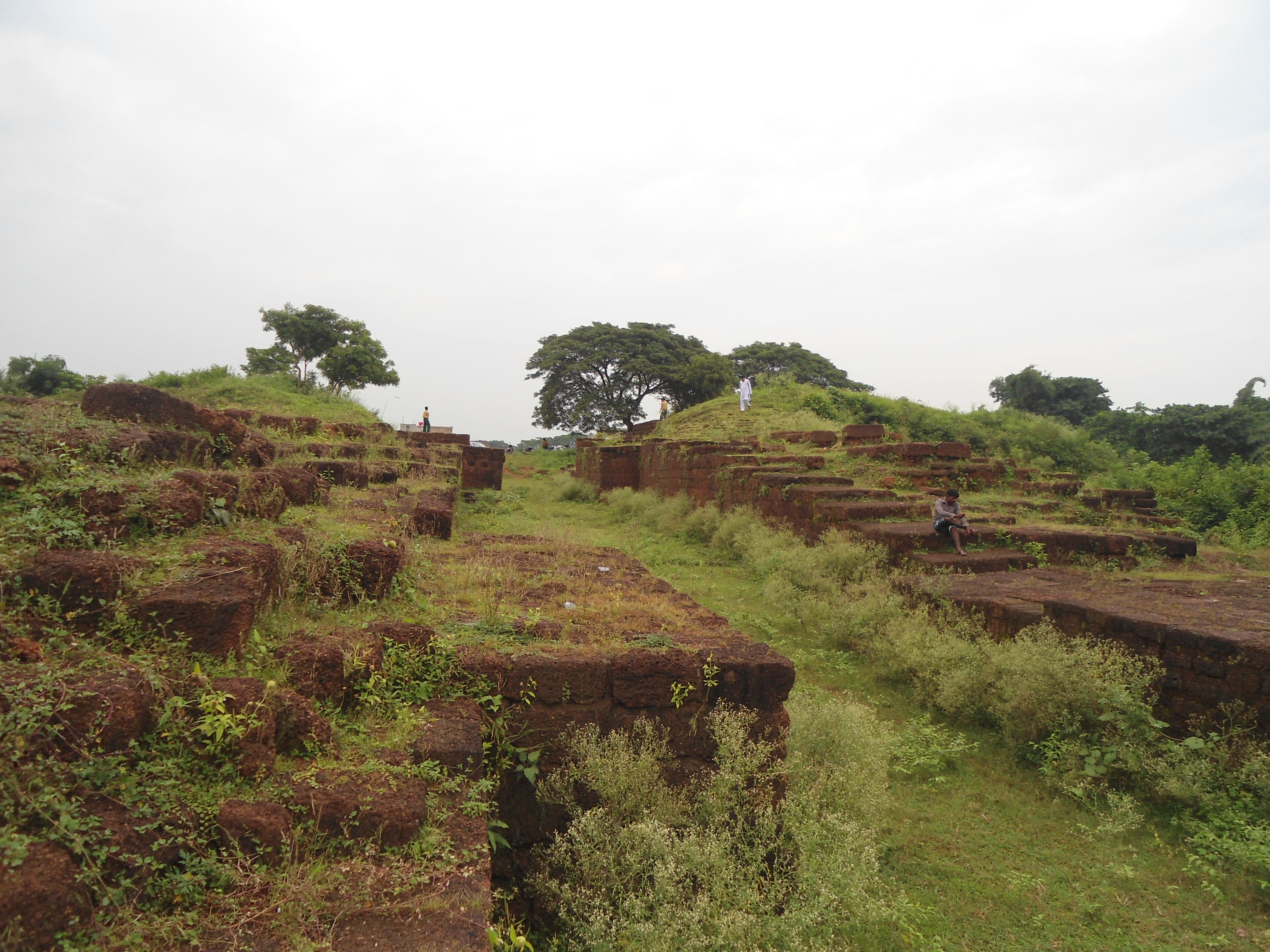 File:Ancient remains inside rampart of Sisupalgarh - 4.JPG - Wikimedia  Commons