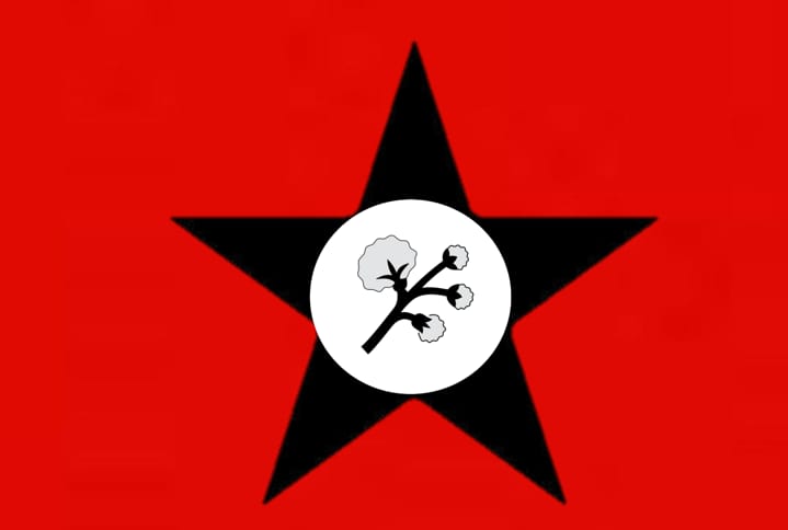 File:Bandeira de Cacimba de Areia.jpg