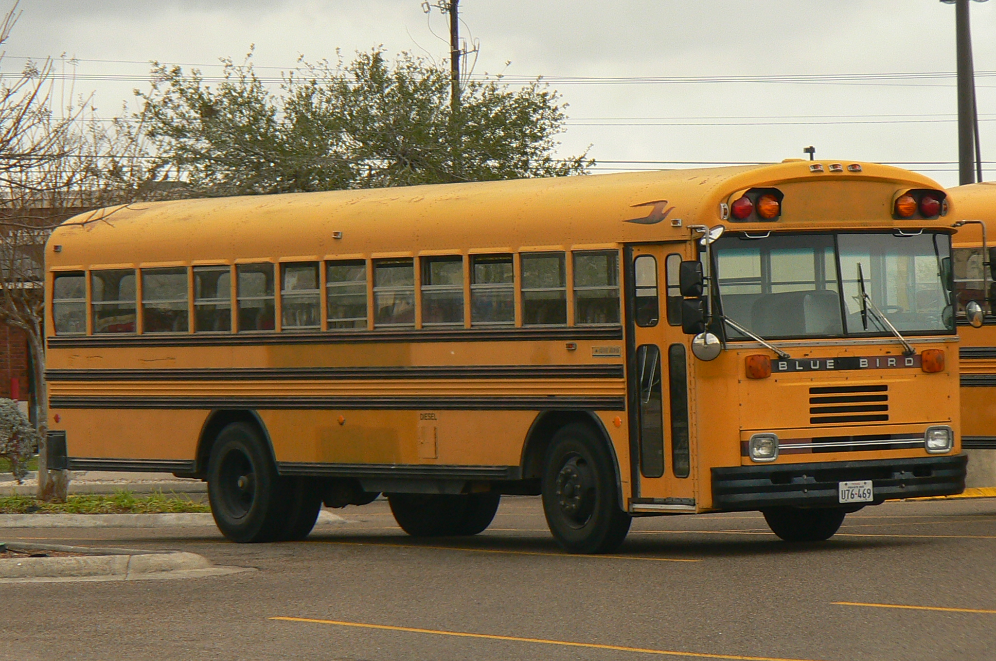 Why do some buses have noses and some are flat in front?? 